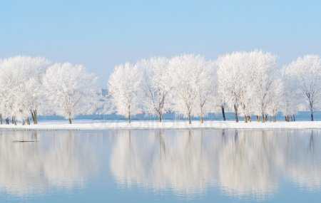 Декабрь фото природы