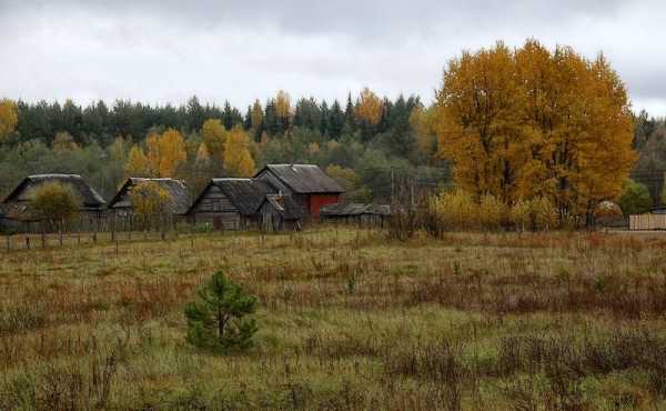 Осень в деревне картинки