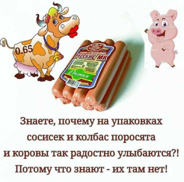 Смешные картинки со словами