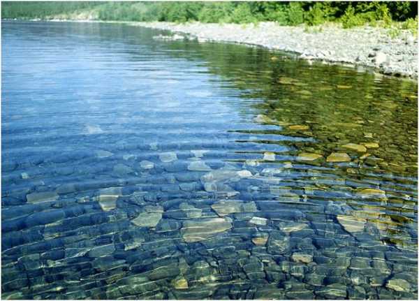 Фото чистой воды в природе