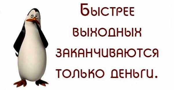 Картинки воскресенье выходной прикольные смешные с надписью