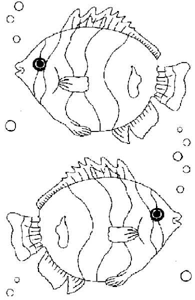 Морская композиция рисунок