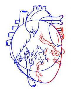 Сердце рисовать человеческое
