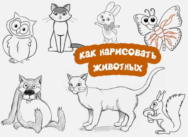 Как нарисовать необычное животное