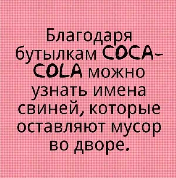 Смешные выражения и фразы для позитивного настроения в картинках