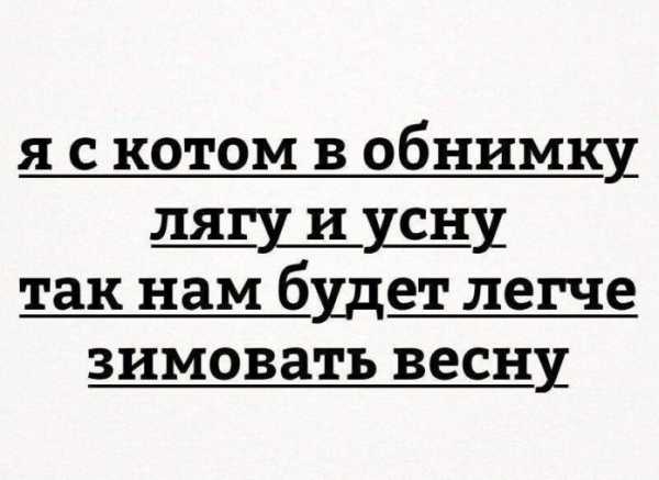 Прикольные фразы для поднятия настроения в картинках