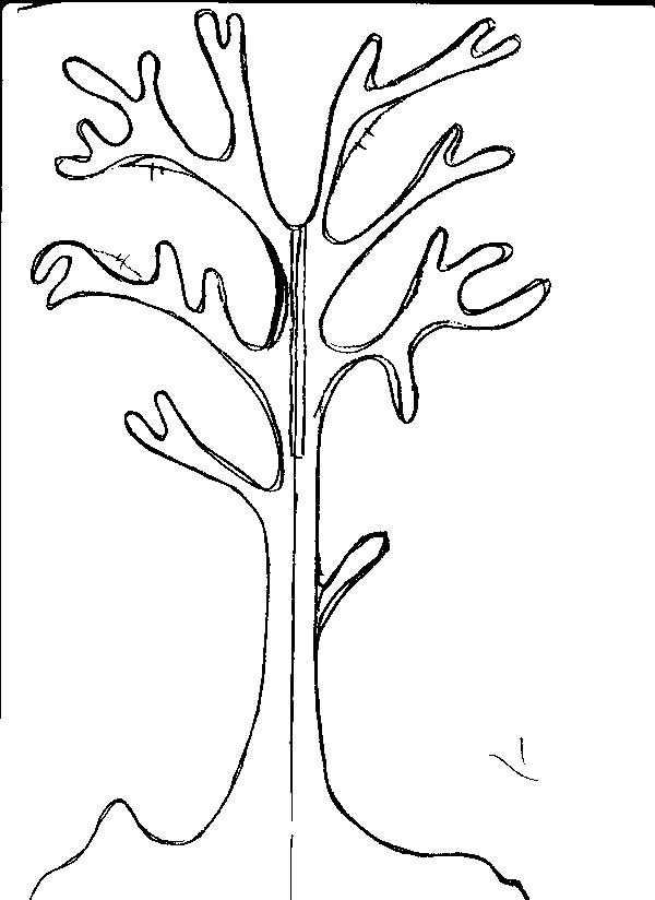 Картинка дерево для вырезания из бумаги