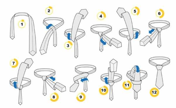 Как повязать галстук на шею пошаговая инструкция фото